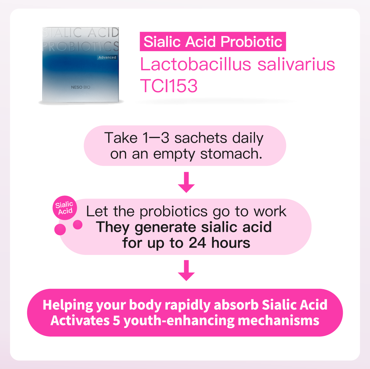 Sialic acid mechanism explanation